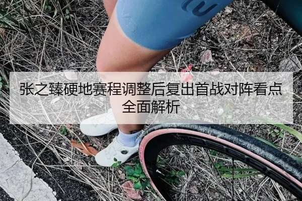 张之臻硬地赛程调整后复出首战对阵看点全面解析 - jiangnan.comapp